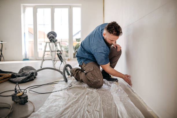 Best Drywall Removal and Disposal  in Fremont, MI